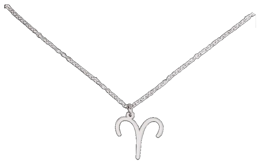Zodiac Symbol Necklace